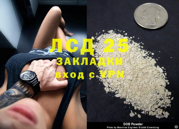 ПСИЛОЦИБИНОВЫЕ ГРИБЫ Армянск