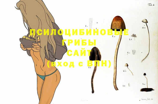 мескалин Аркадак