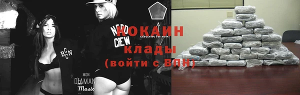дурь Арсеньев