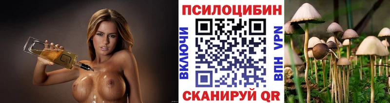 сколько стоит  Ипатово  Галлюциногенные грибы Magic Shrooms 